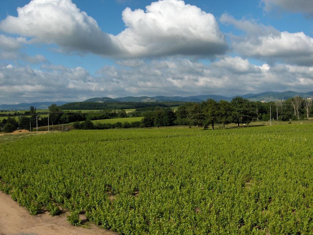 Coeur De Beaujolais Apartment Corcelles-en-Beaujolais ภายนอก รูปภาพ